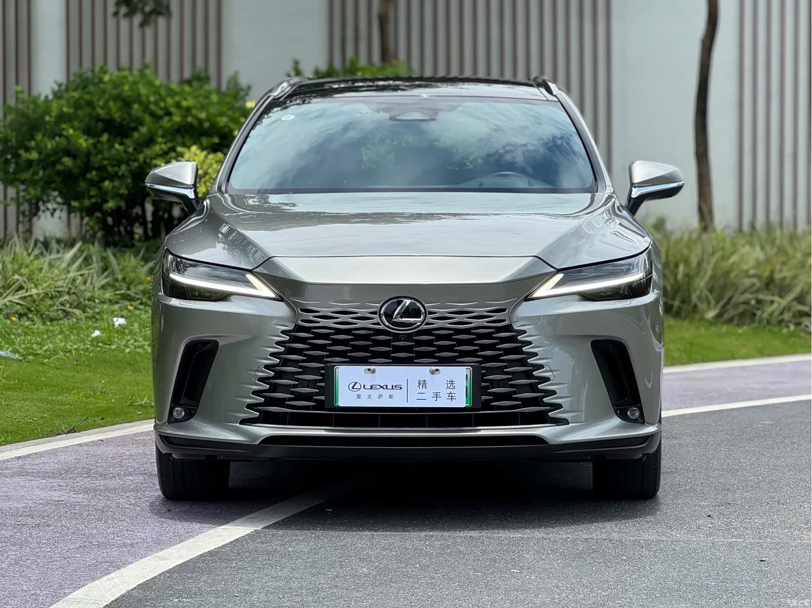 Lexus RX, 2023 2