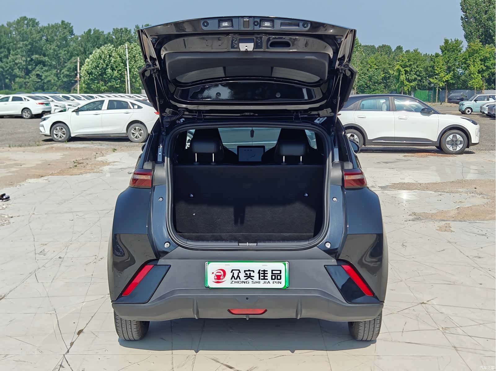 BYD Seagull, 2024 24