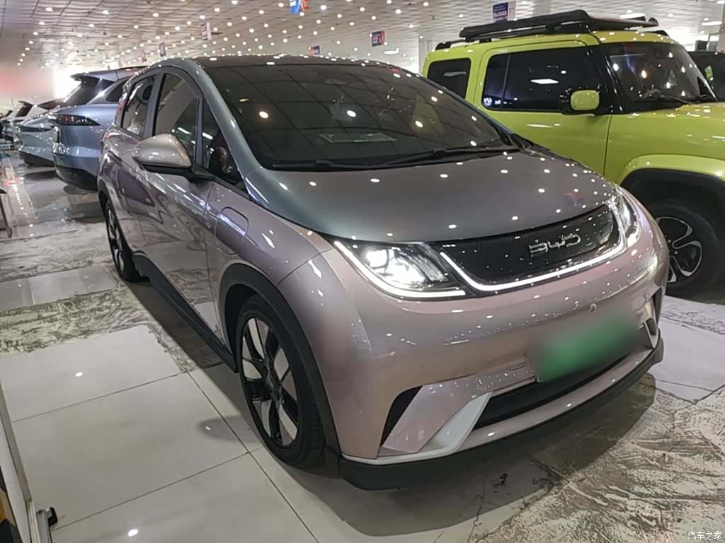 BYD Dolphin, 2022 4