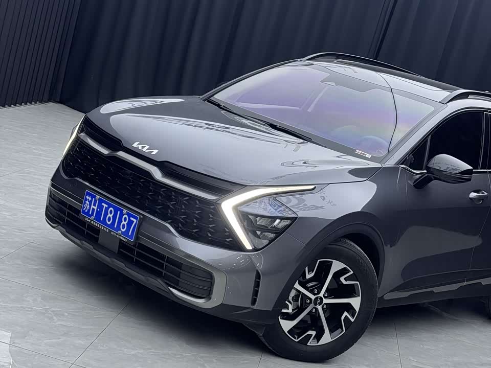 Kia Lion Platinum expands the world