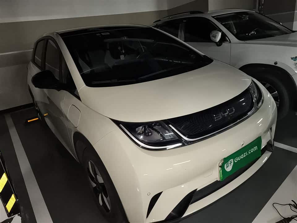 BYD dolphin