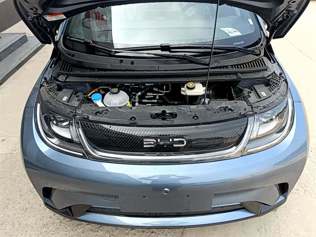BYD Dolphin, 2026 20