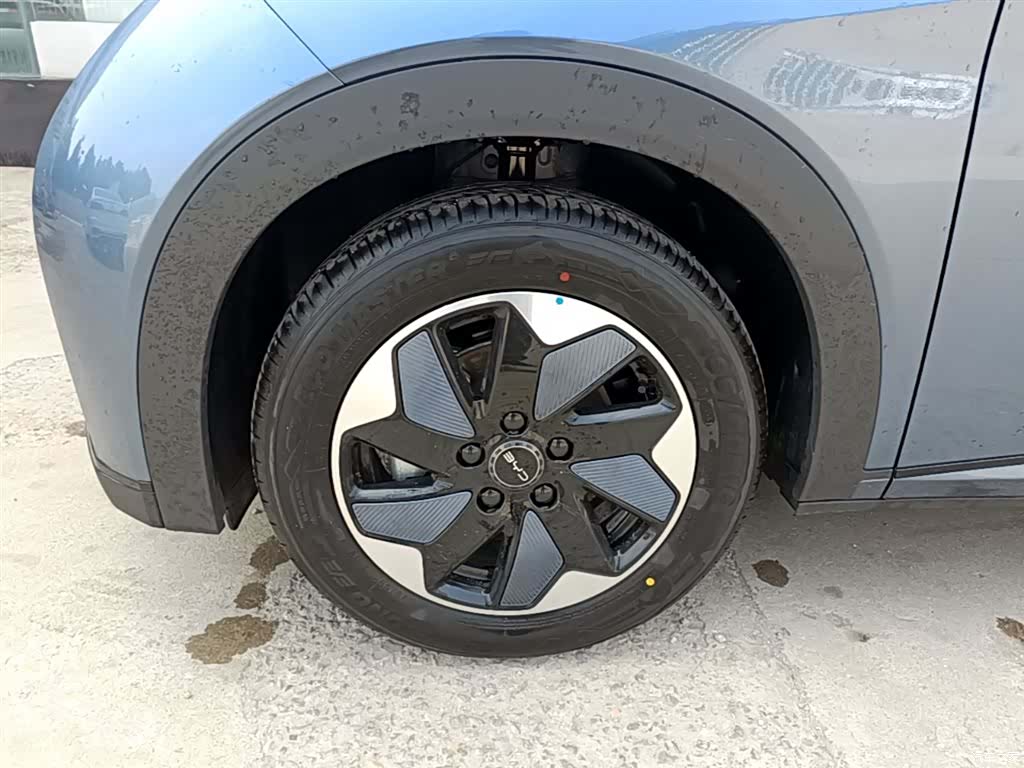 BYD Dolphin, 2026 23