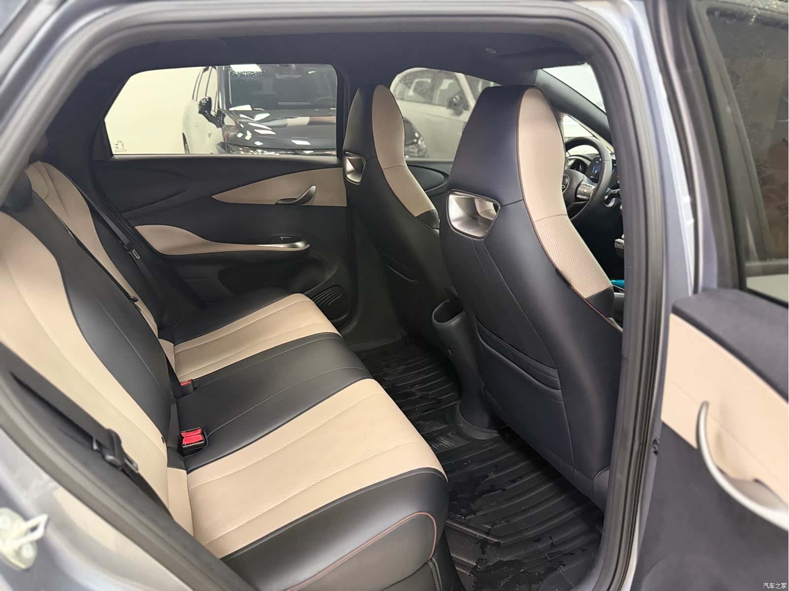 BYD Dolphin, 2024 11
