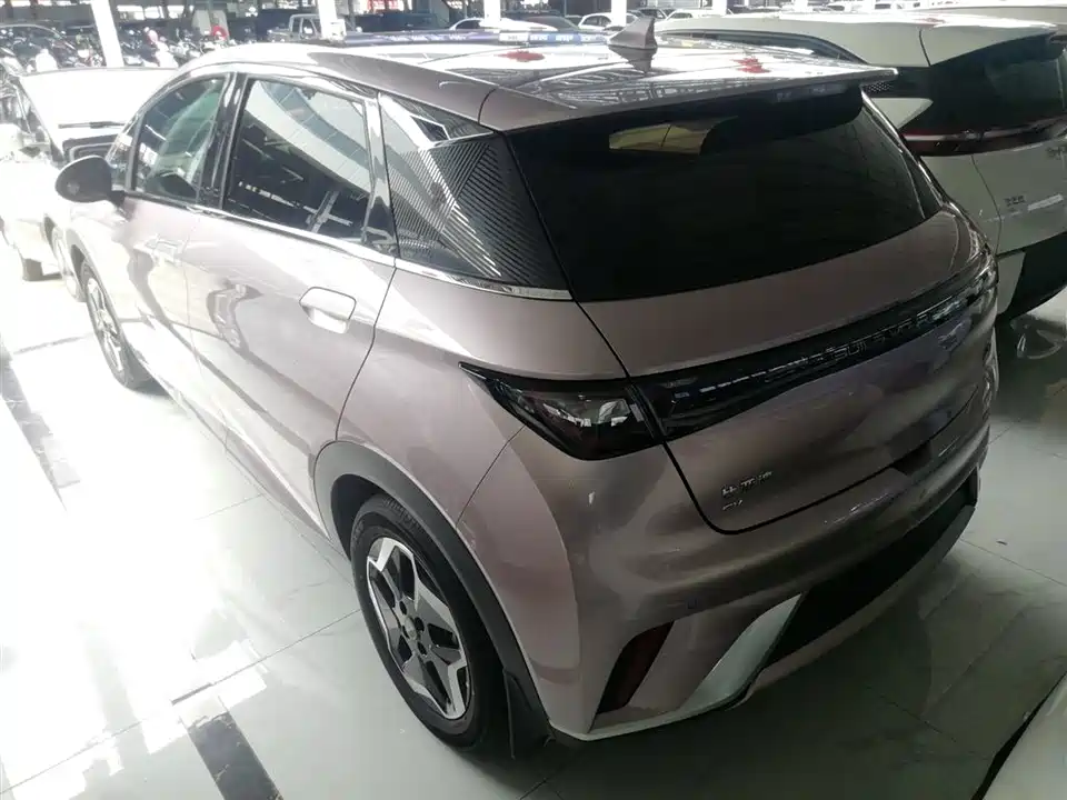 BYD dolphin
