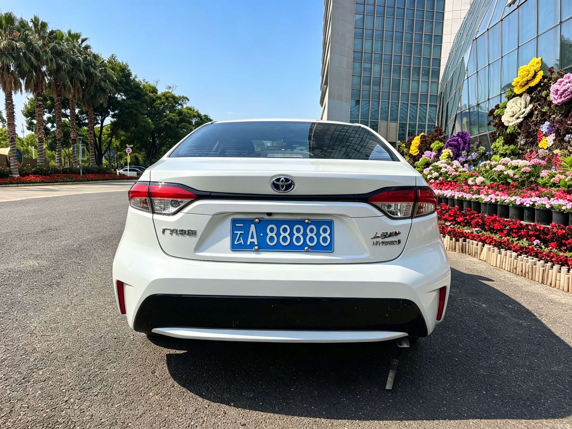 Toyota Levin, 2022 13