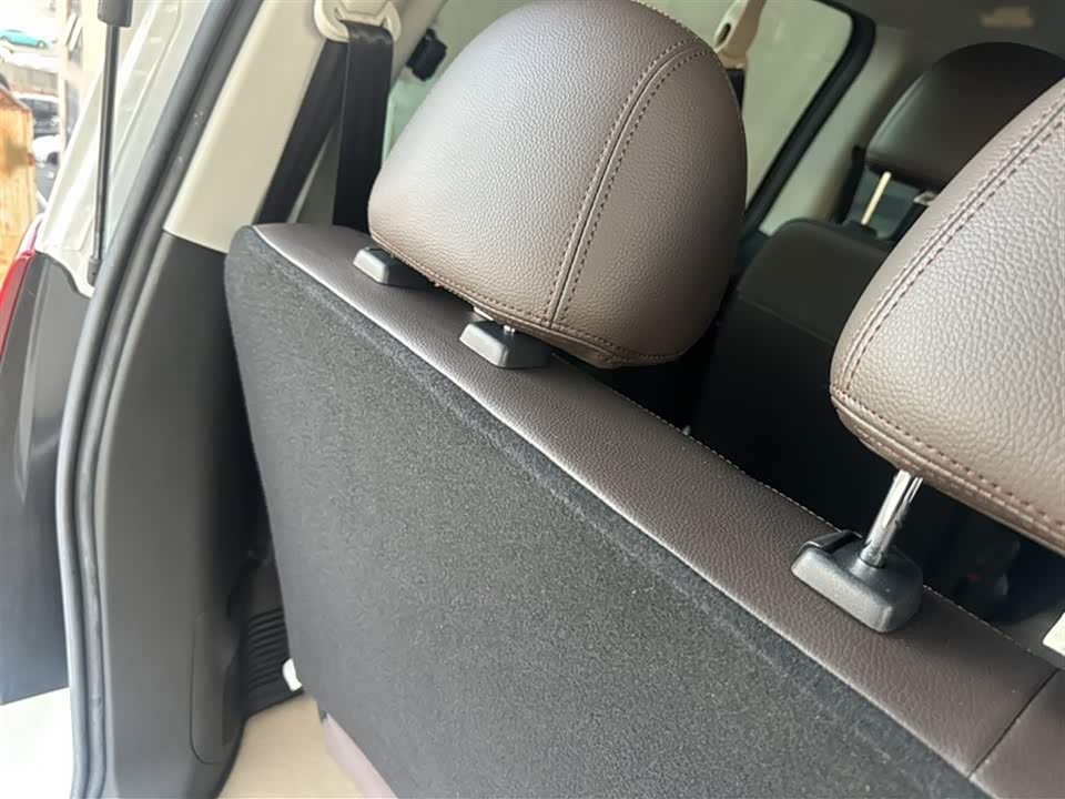 Forthing Lingzhi PLUS