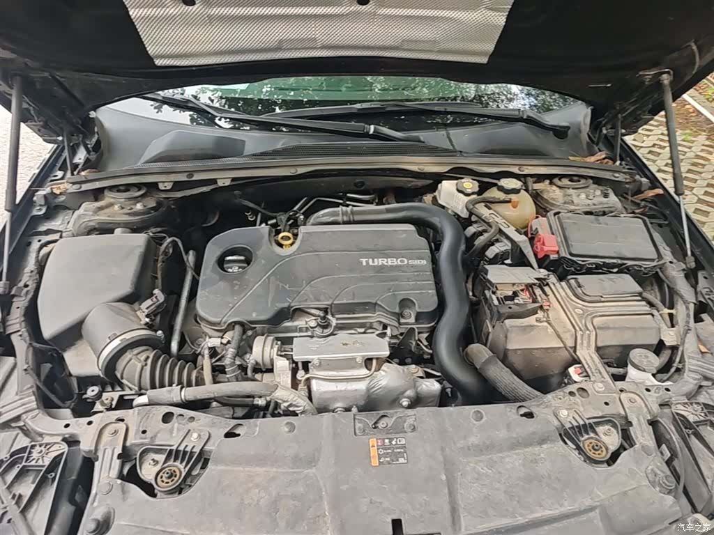 Buick Regal, 2024 19