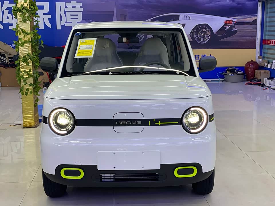 Geely Galaxy panda