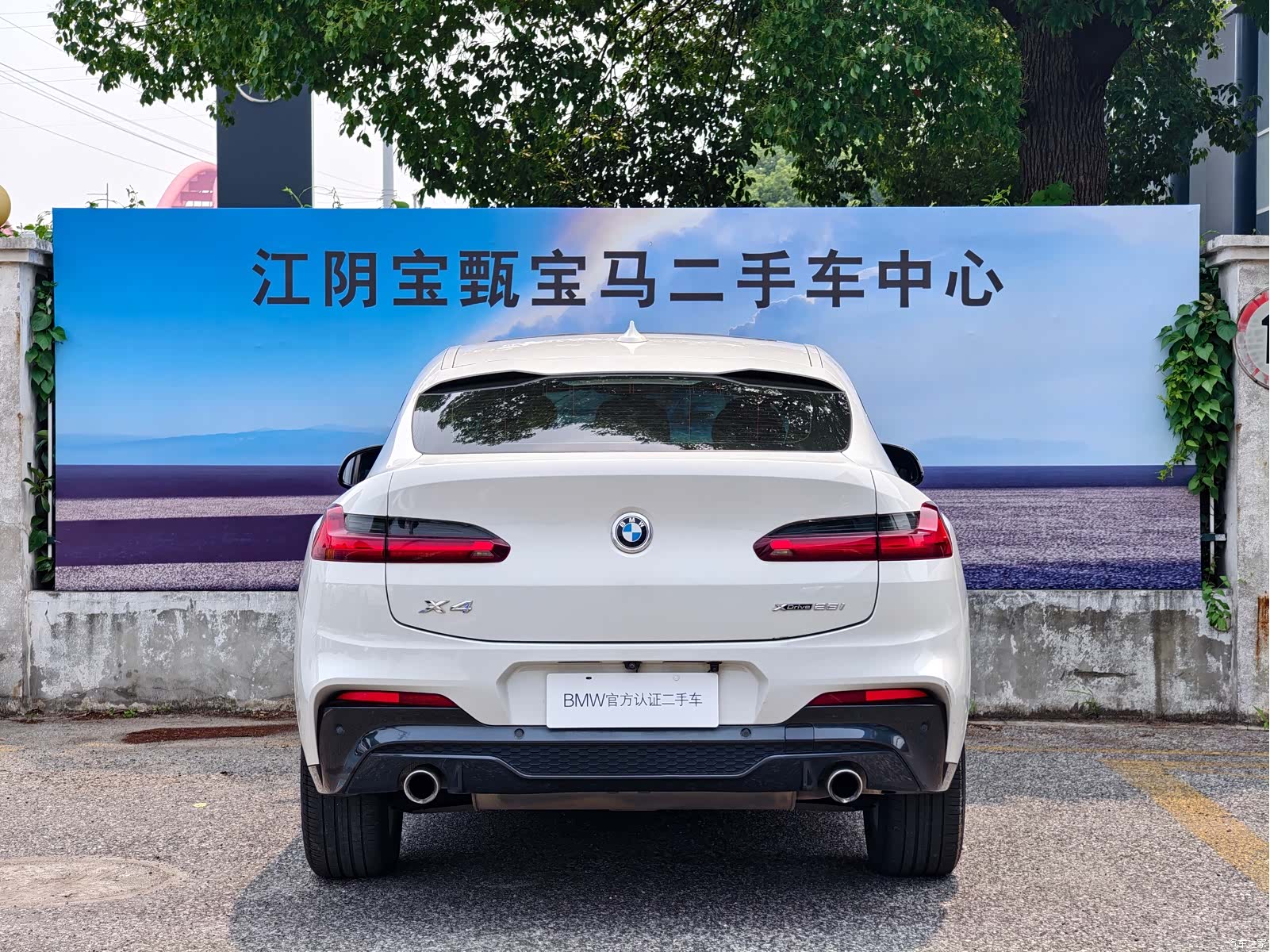 BMW X4, 2019 все фото