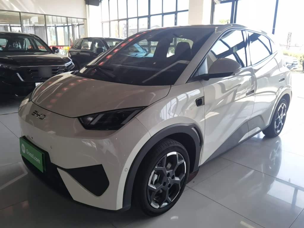 BYD Seagull