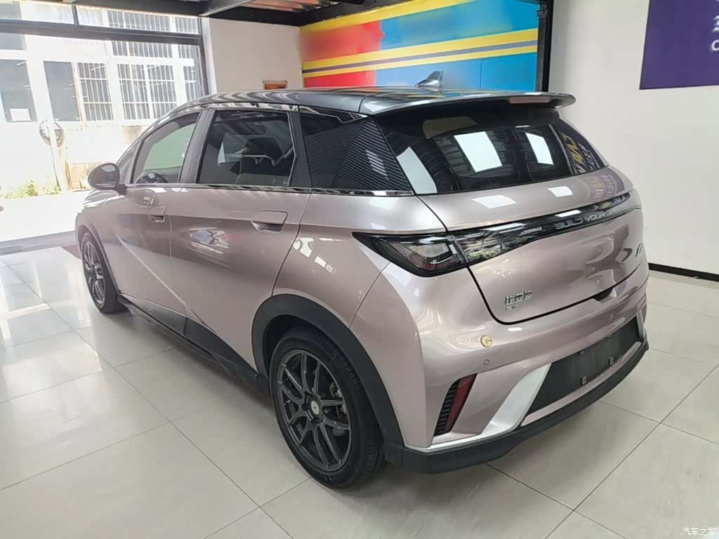 BYD Dolphin, 2022 все фото