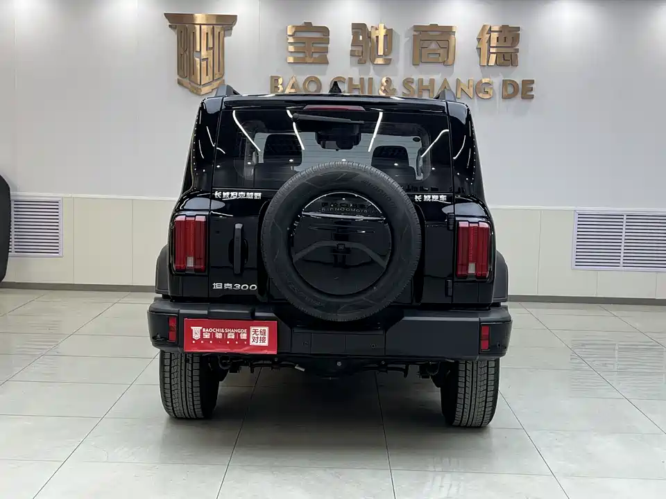 Tank 300