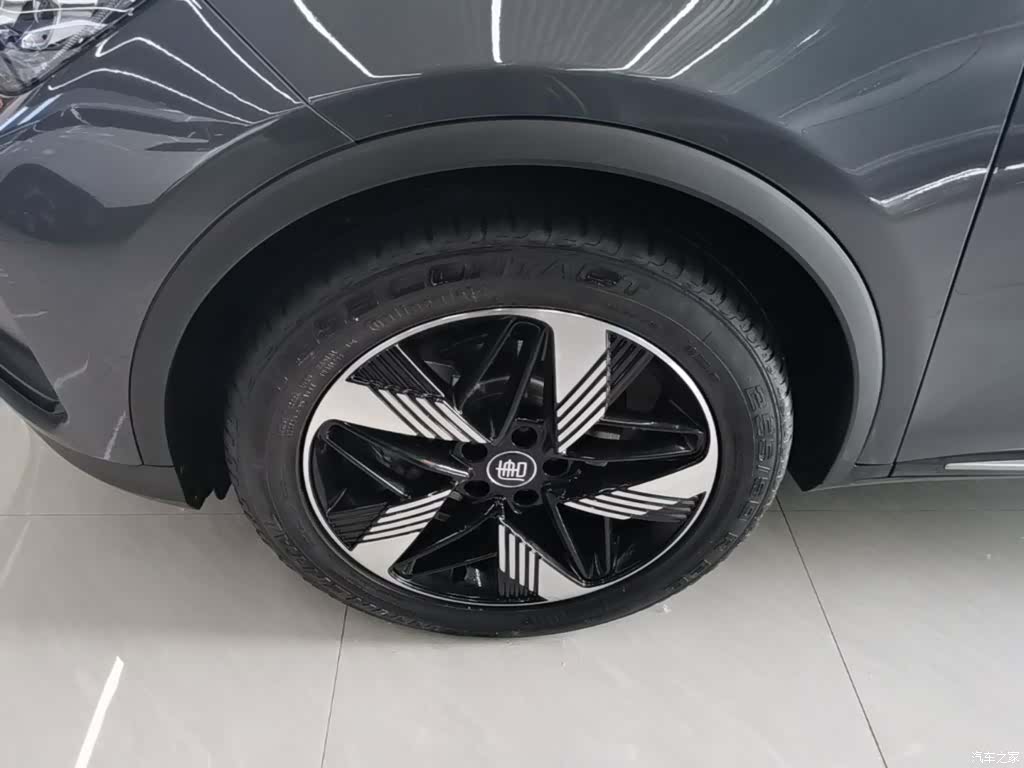 BYD Tang, 2024 23