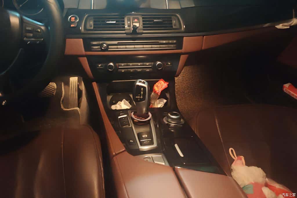 BMW 5 Series, 2017 16