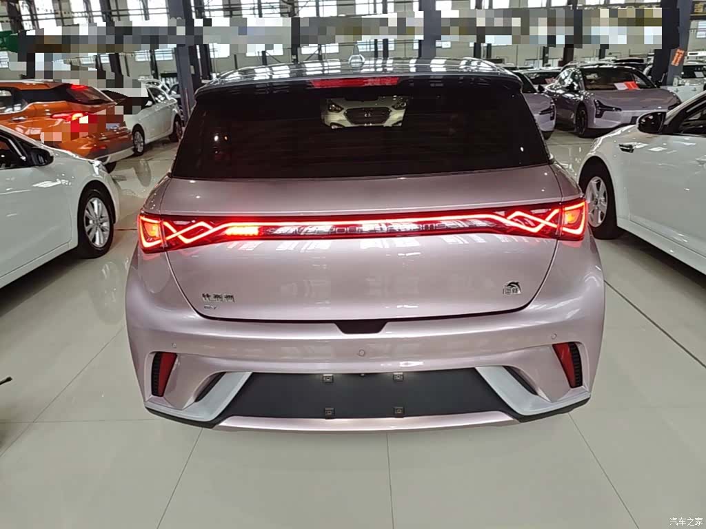 BYD Dolphin, 2022 6