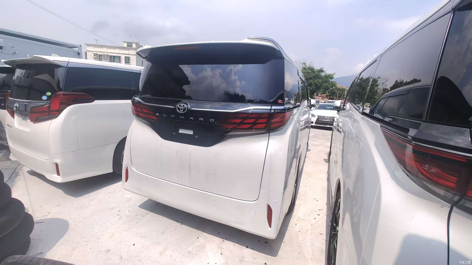 Toyota Alphard, 2024 все фото