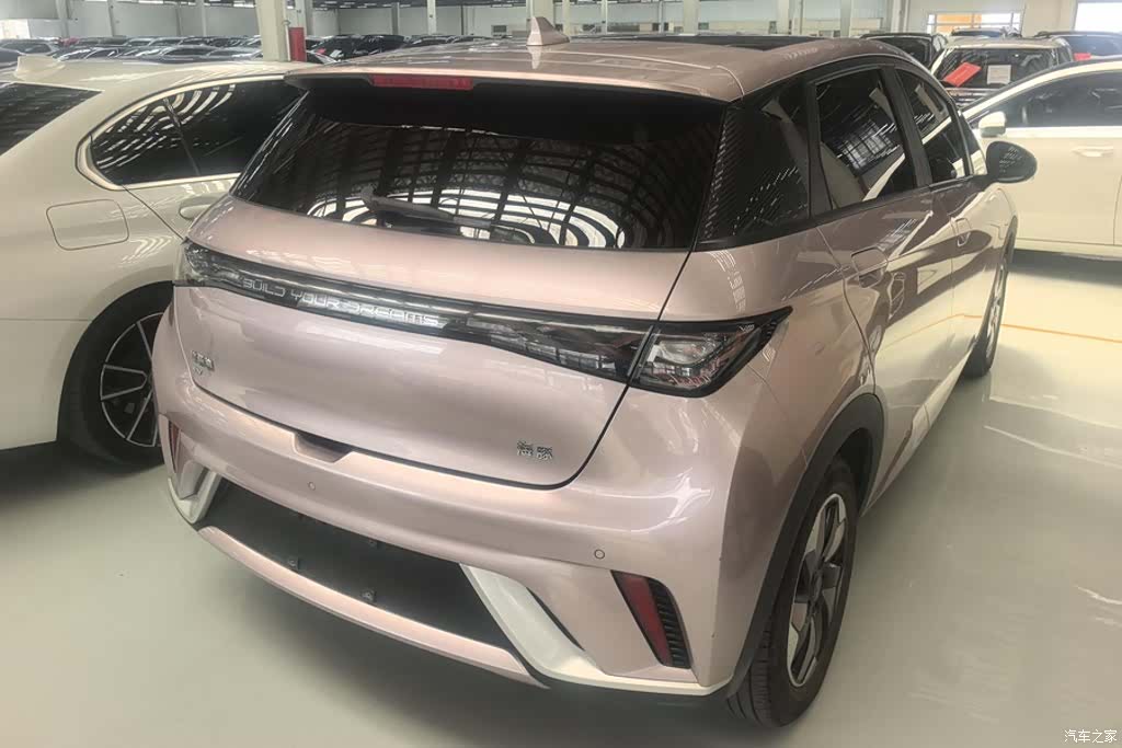 BYD Dolphin, 2024 3