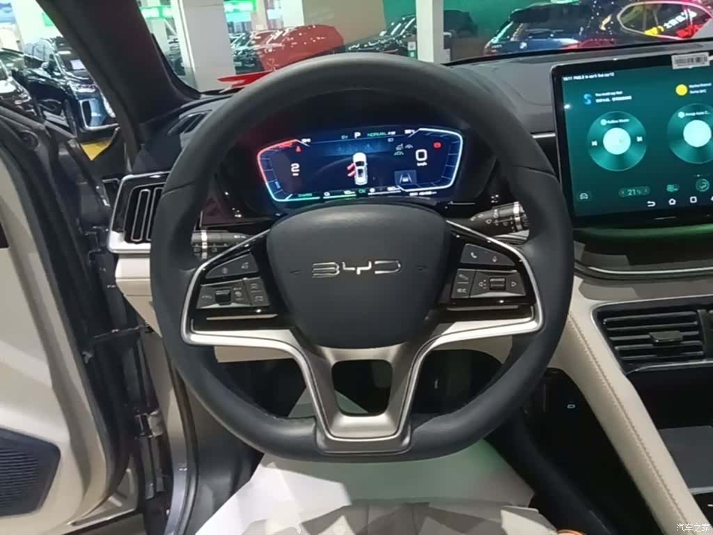 BYD Song, 2024 11
