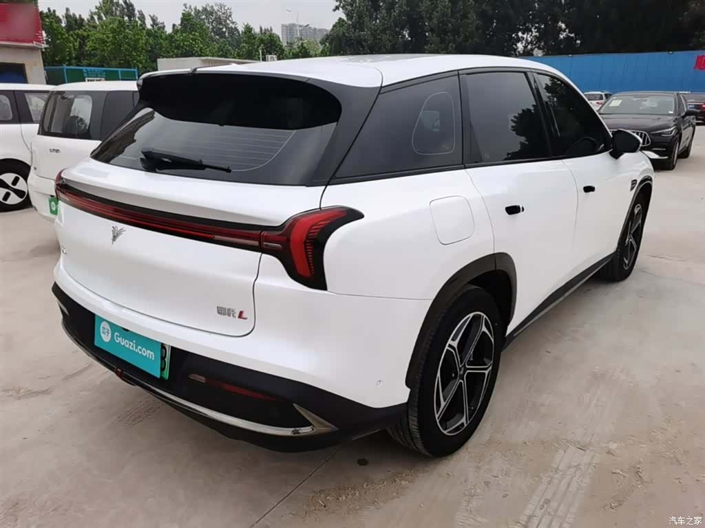 Neta L, 2025 7