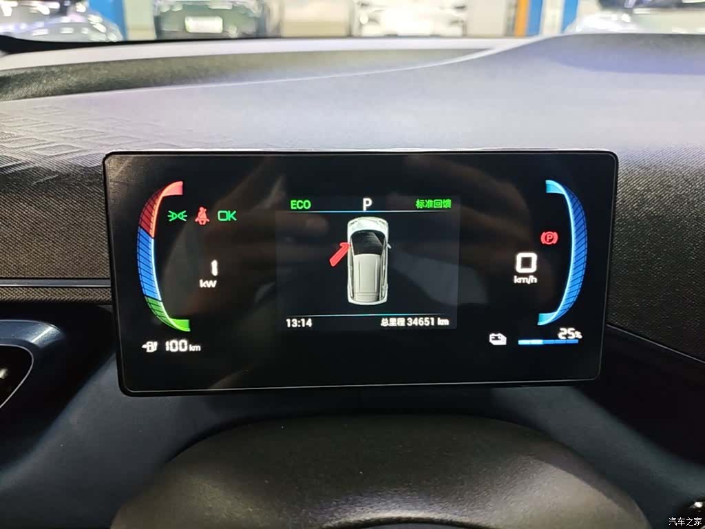 BYD Seagull, 2024 12