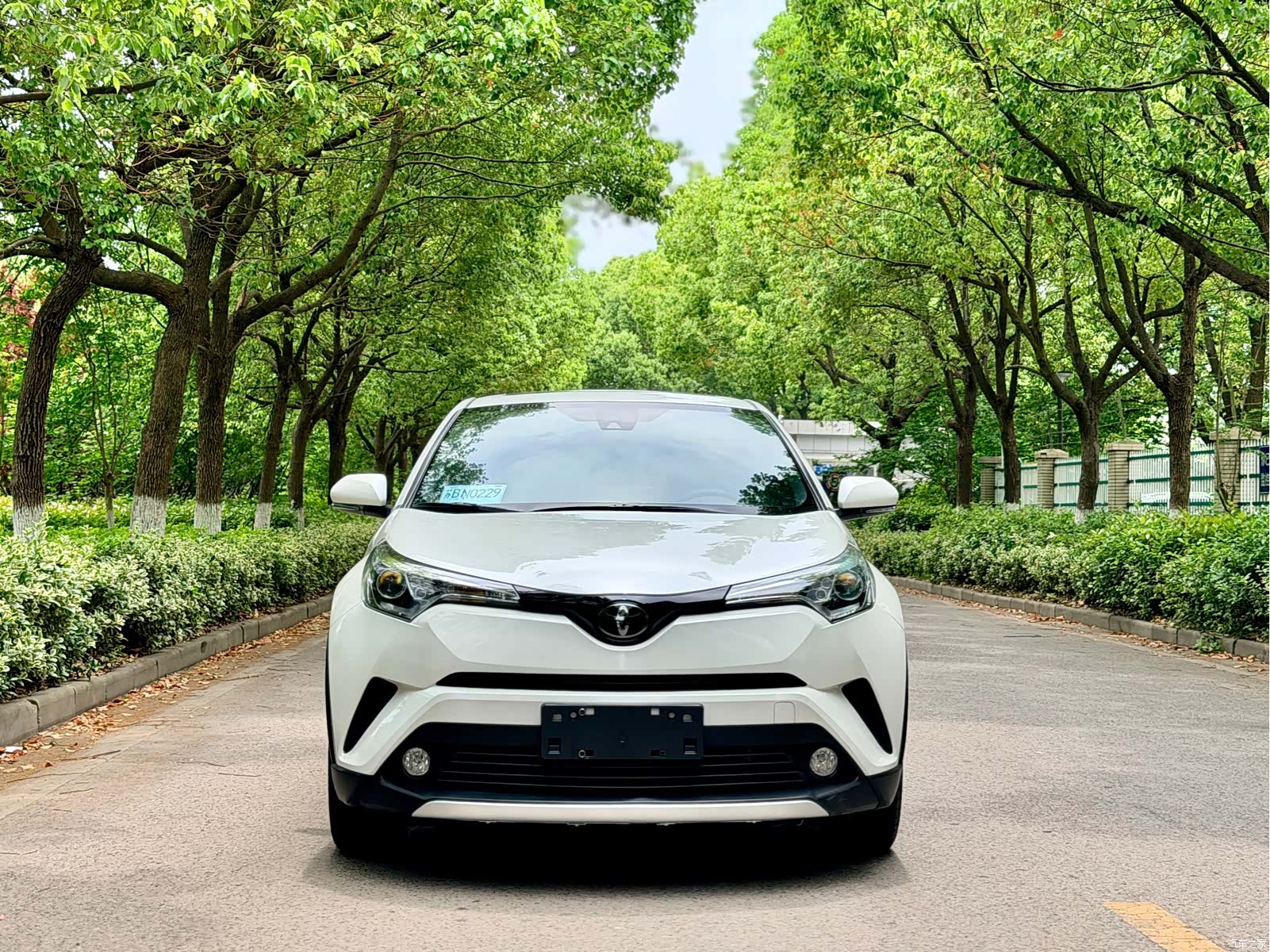 Toyota IZOA, 2019 2