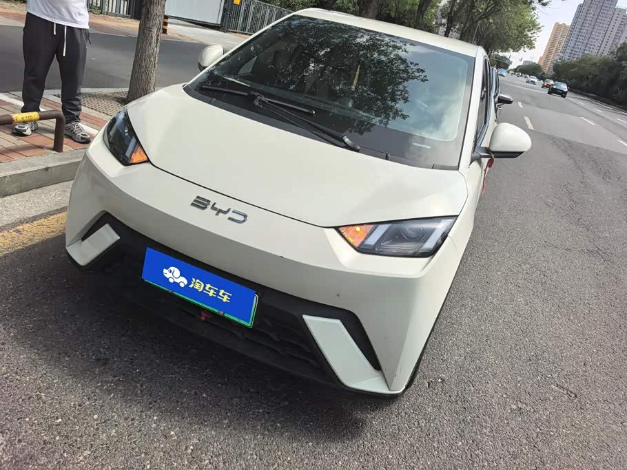 BYD Seagull