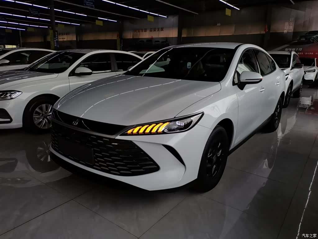 BYD Qin, 2026 2