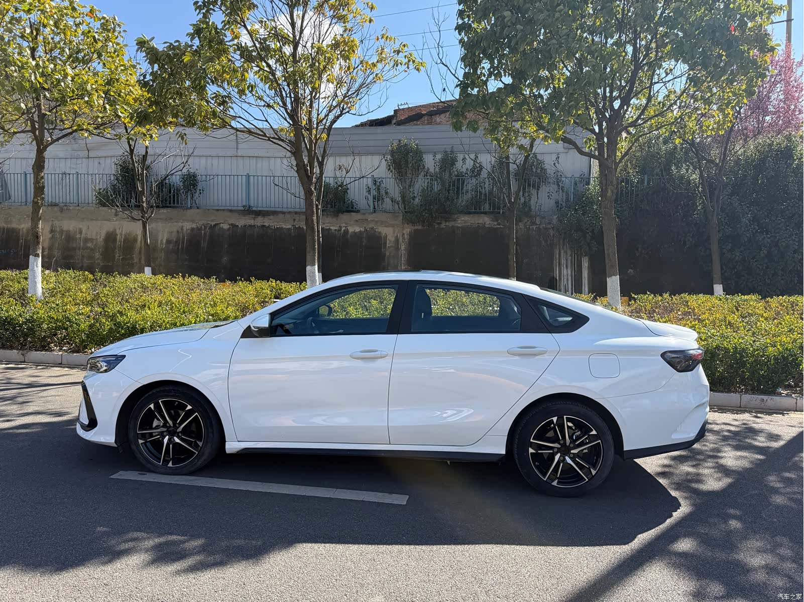 Geely Binray, 2024 10