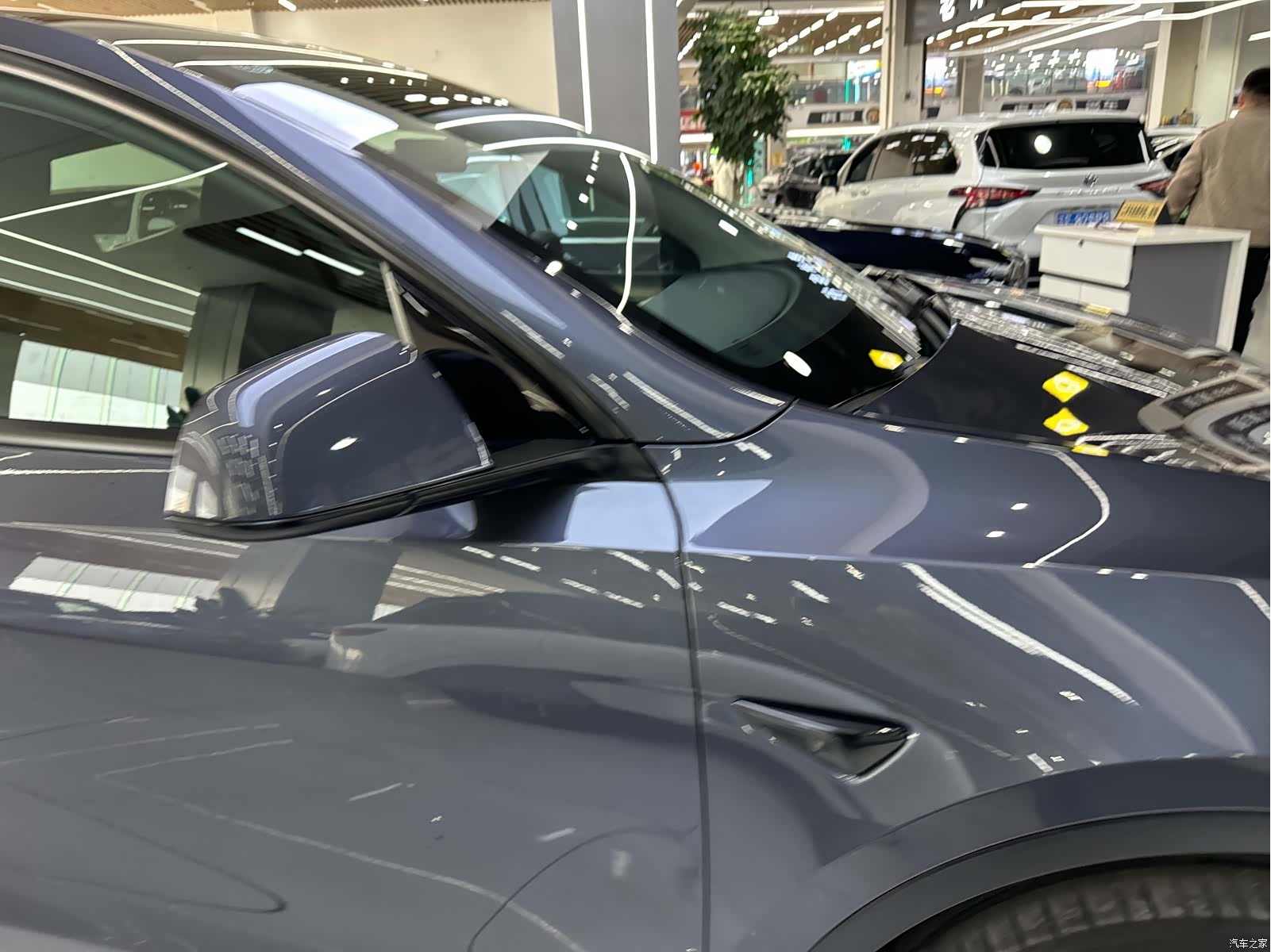 Tesla Model Y, 2023 все фото