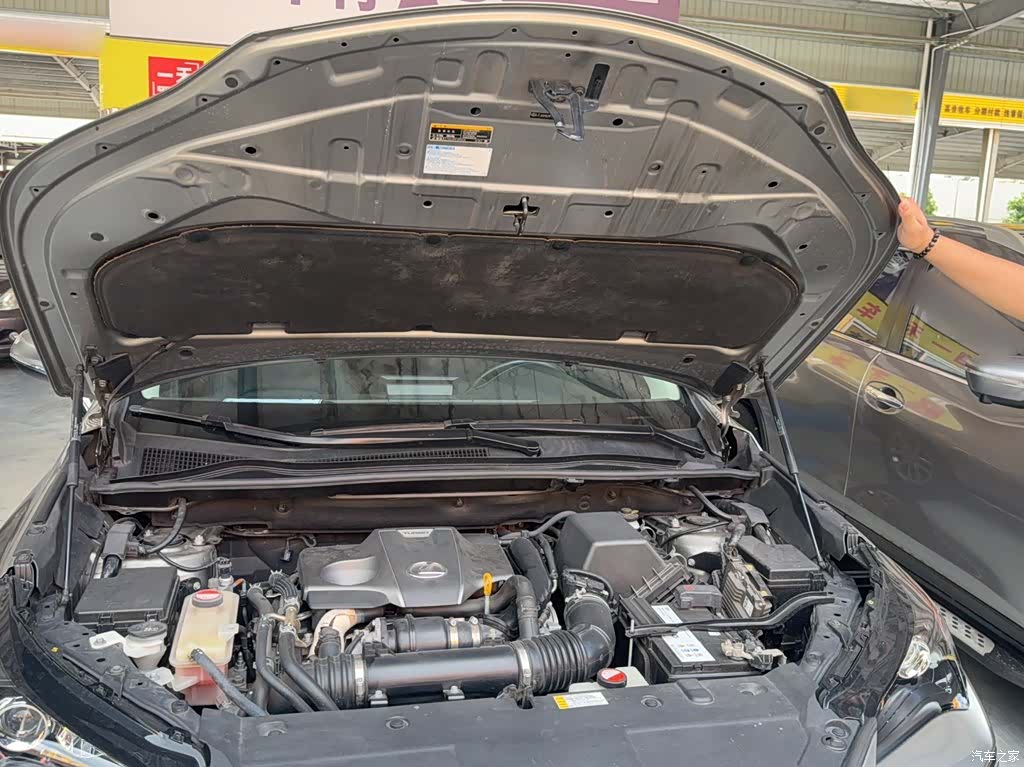 Lexus NX, 2015 16
