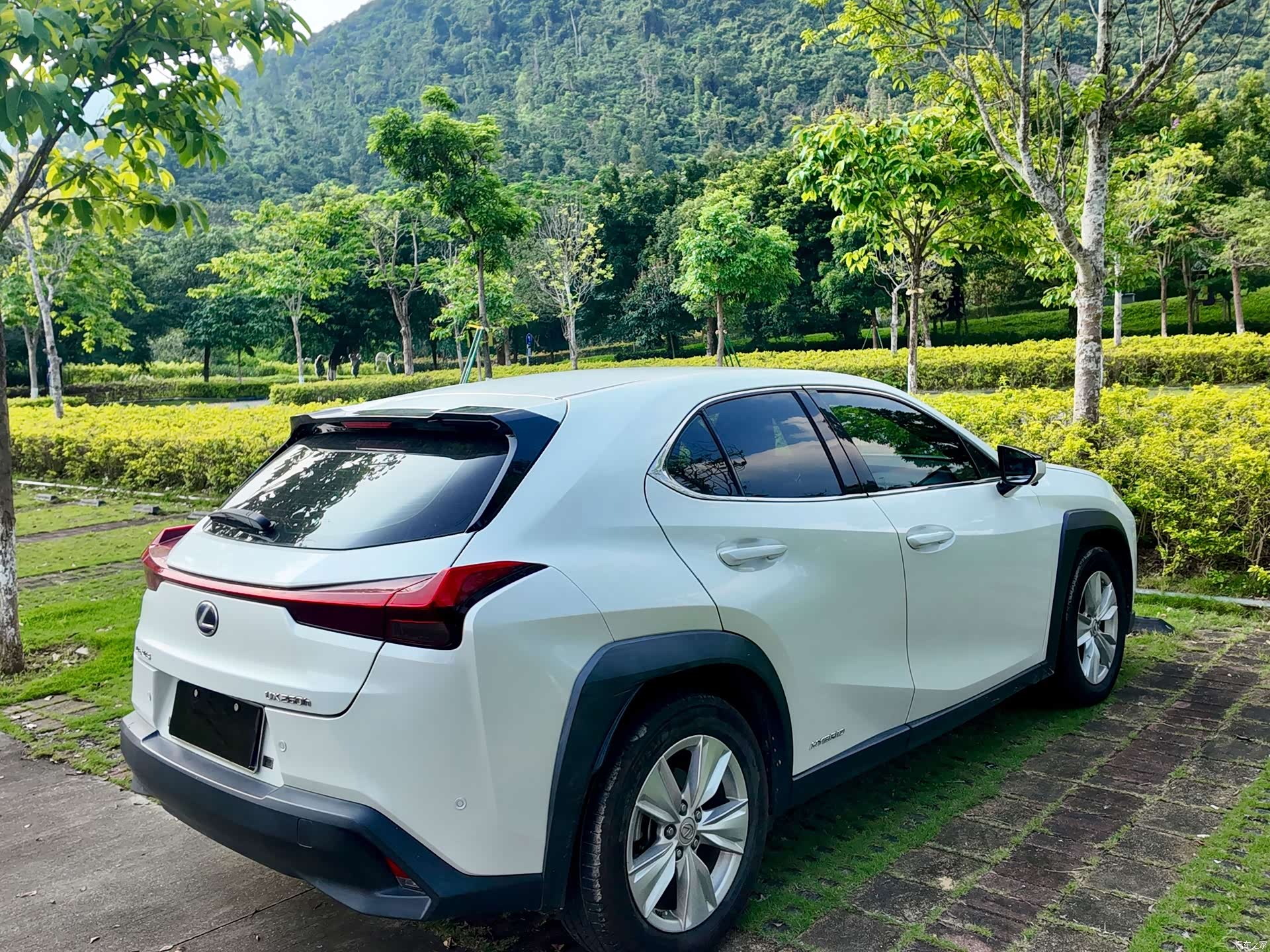 Lexus UX, 2019 20