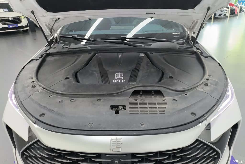 BYD Tang, 2023 10