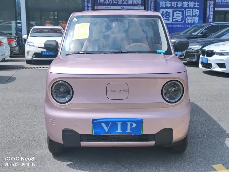 Geely Galaxy panda