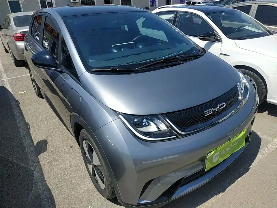 BYD dolphin