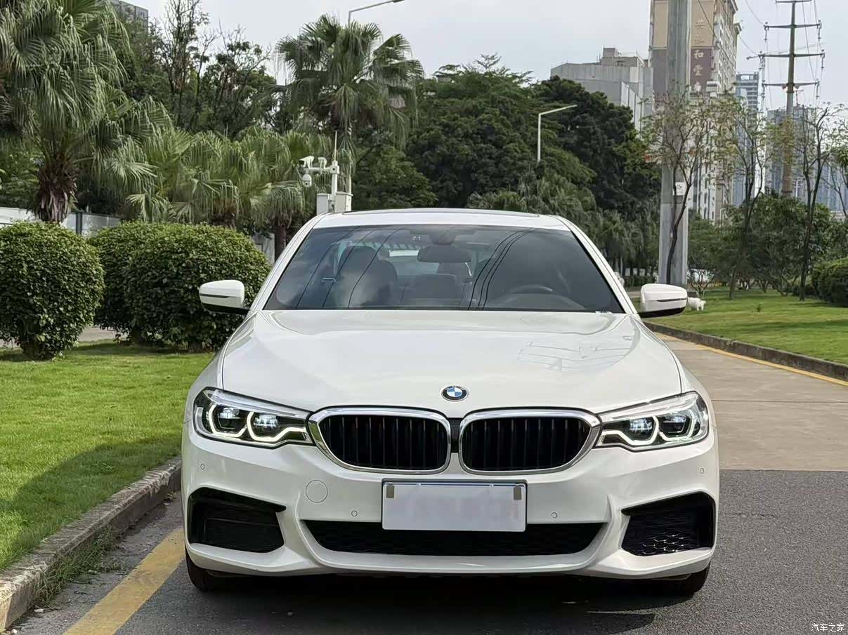 BMW 5 Series, 2020 4