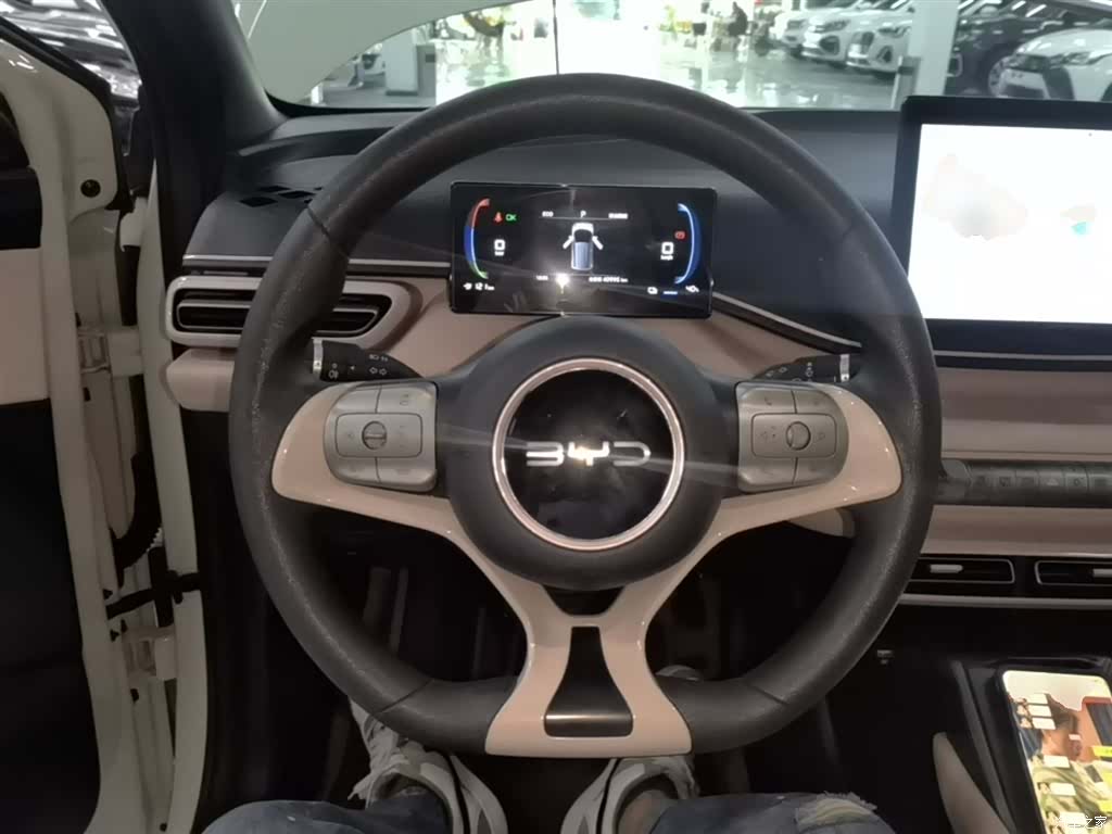 BYD Seagull, 2024 11