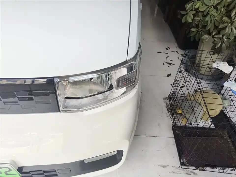 Wuling Hongguang MINIEV