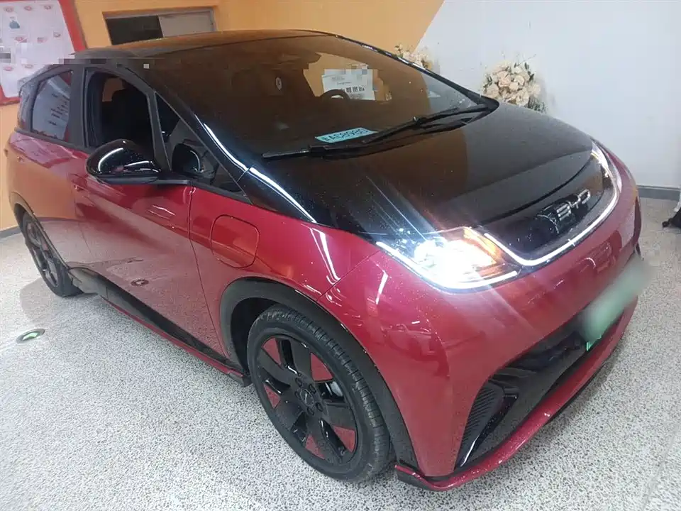 BYD dolphin