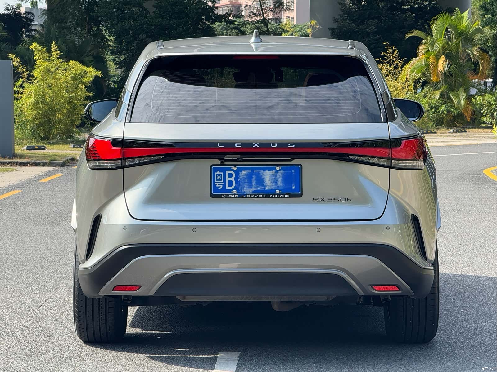 Lexus RX, 2023 20