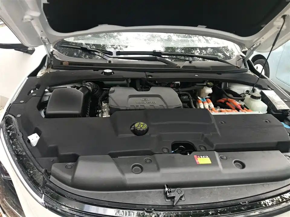 Wuling Wuling Starlight