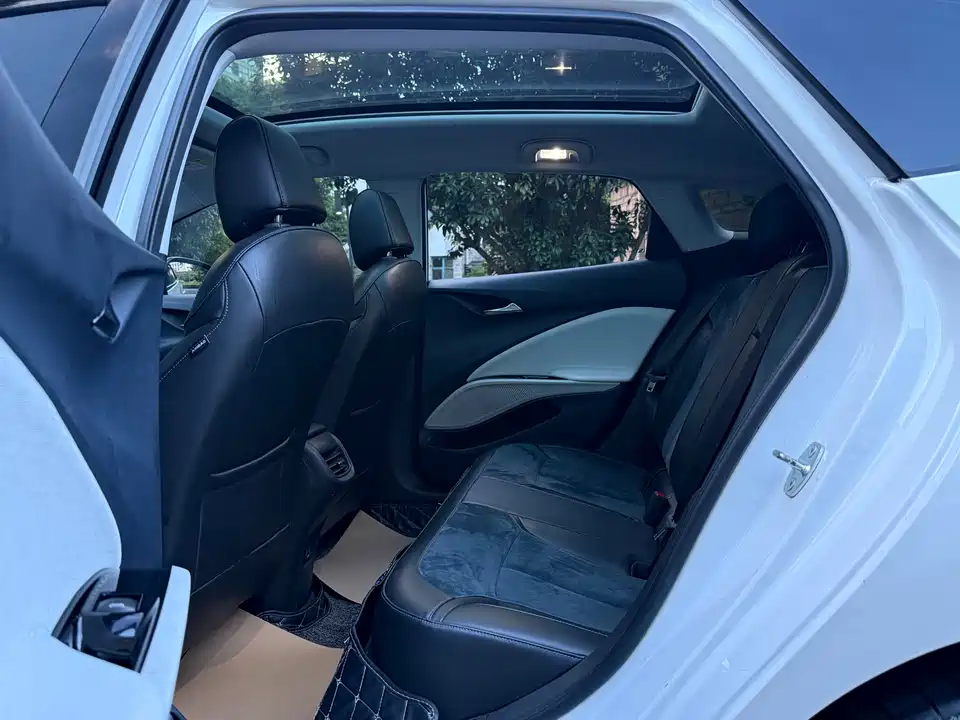Buick Slightly blue 6