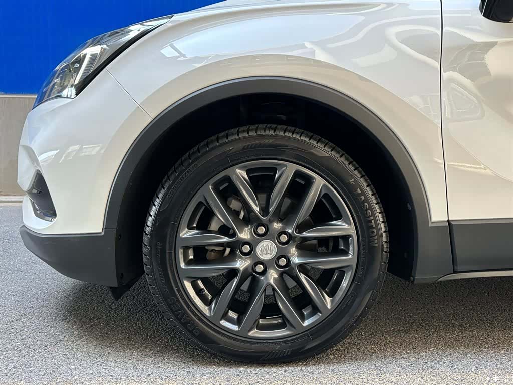Buick Envision Plus, 2020 6