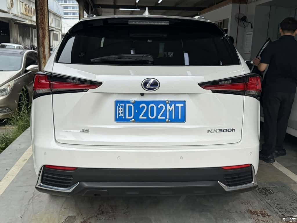 Lexus NX, 2020 все фото