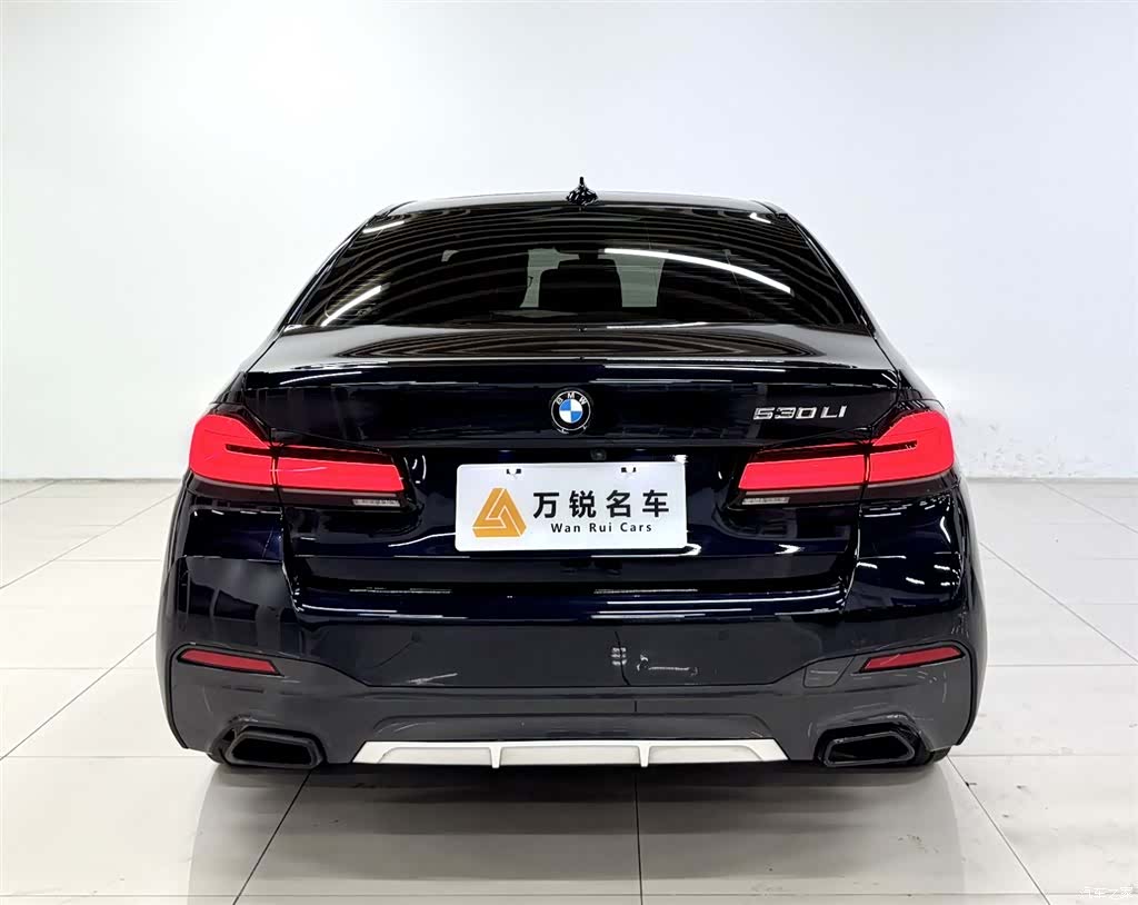 BMW 5 Series, 2021 4
