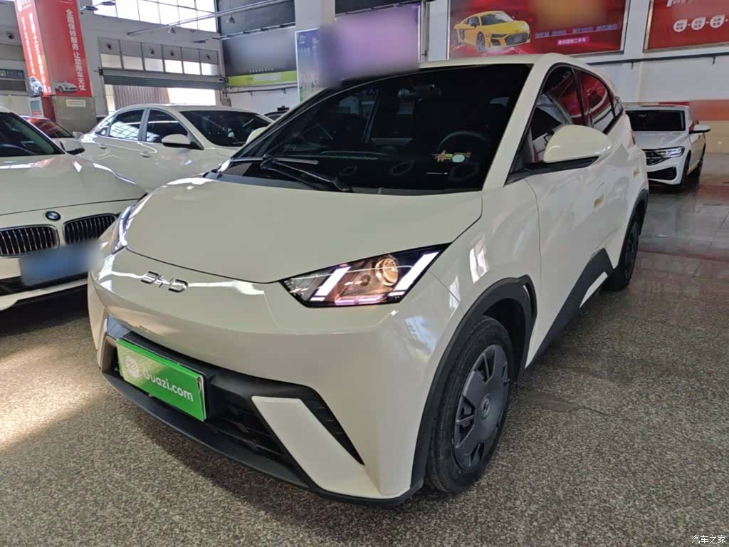 BYD Seagull, 2024 1