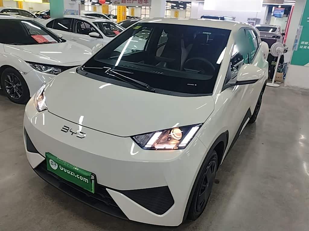 BYD Seagull