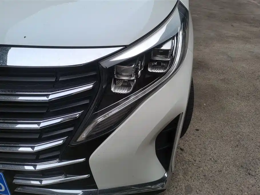 Trumpchi Trumpchi M8