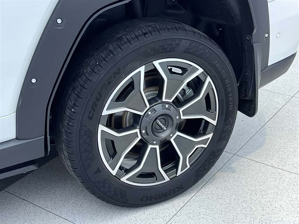Haval Big Dog, 2024 31