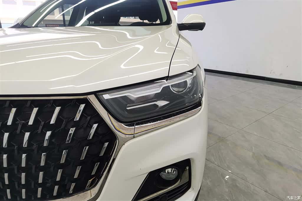 Haval H6, 2024 все фото